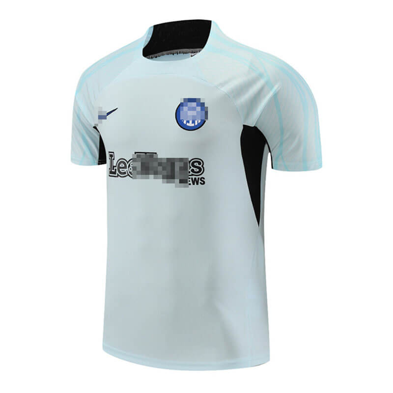 Camiseta de Entrenamiento de Inter De Mlian 2023/2024 Gris Claro